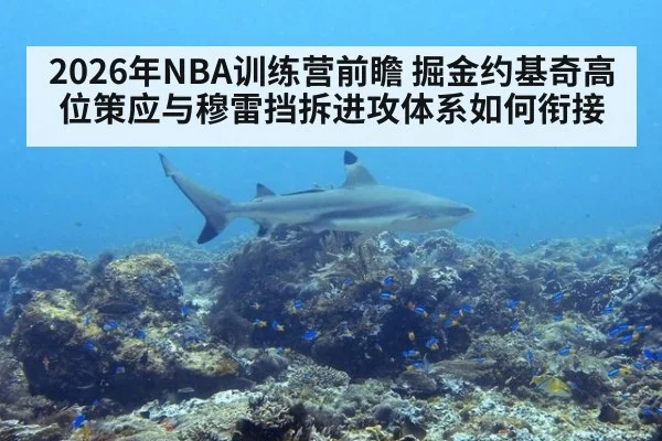 2026年NBA训练营前瞻 掘金约基奇高位策应与穆雷挡拆进攻体系如何衔接 - kaiyun
